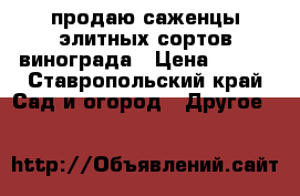 продаю саженцы элитных сортов винограда › Цена ­ 100 - Ставропольский край Сад и огород » Другое   